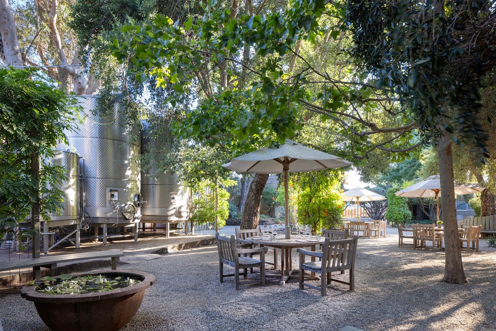 PlumpJack Estate Winery, photo 4