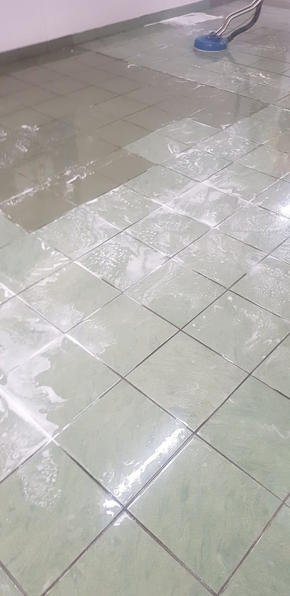 Dial a Carpet Cleaner & Pest Control, photo 3