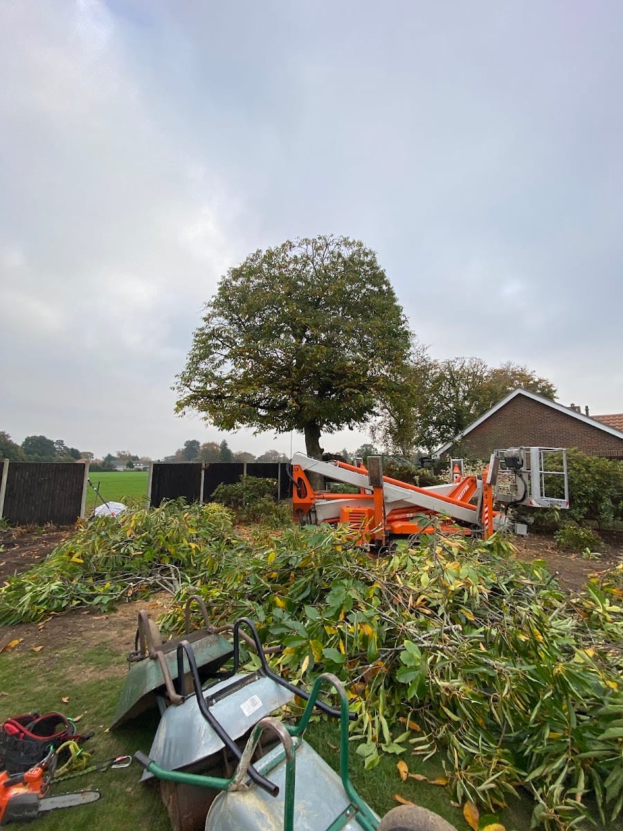 Norfolk Trusted Trader