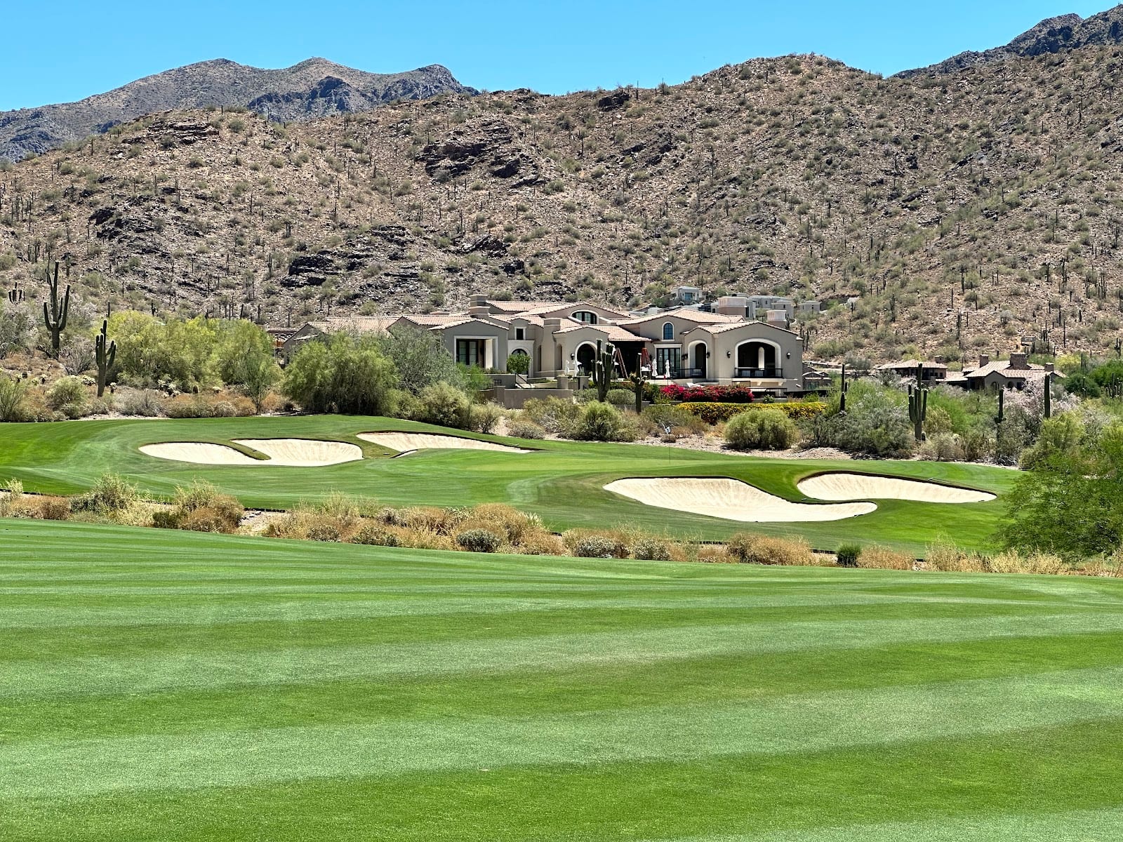 The Silverleaf Club logo