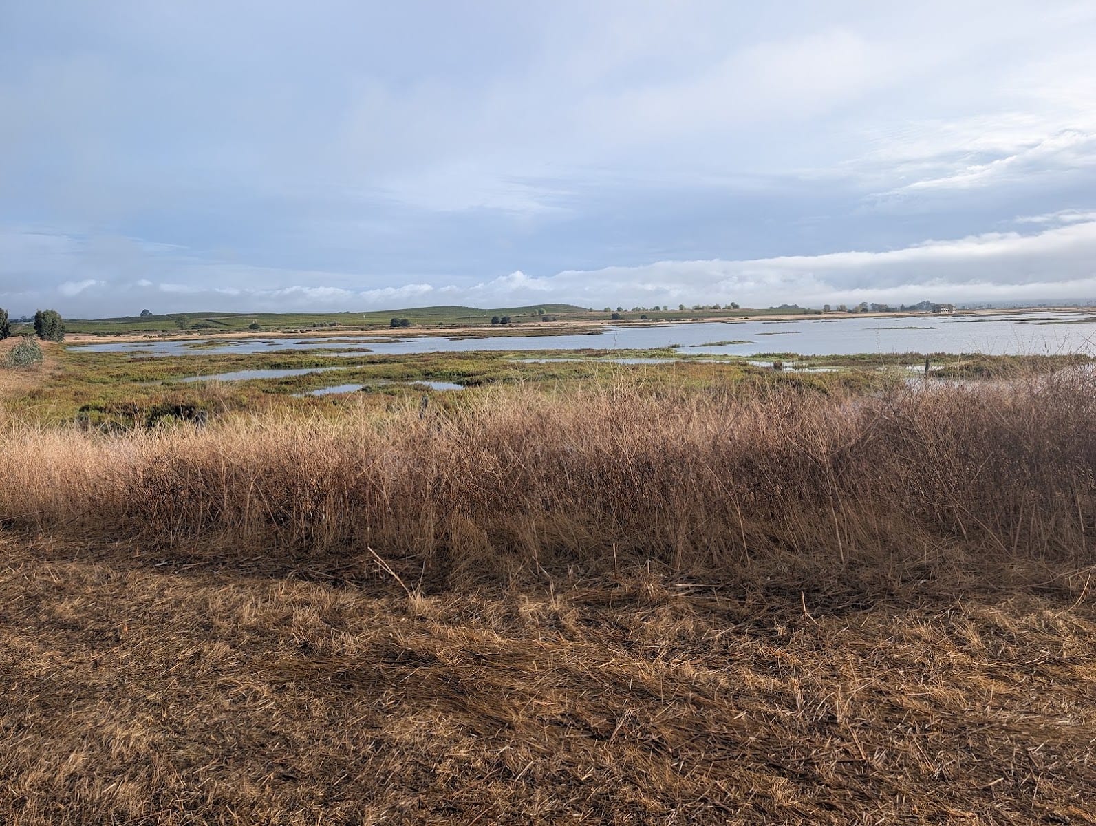 Huichica Creek Wildlife Area
