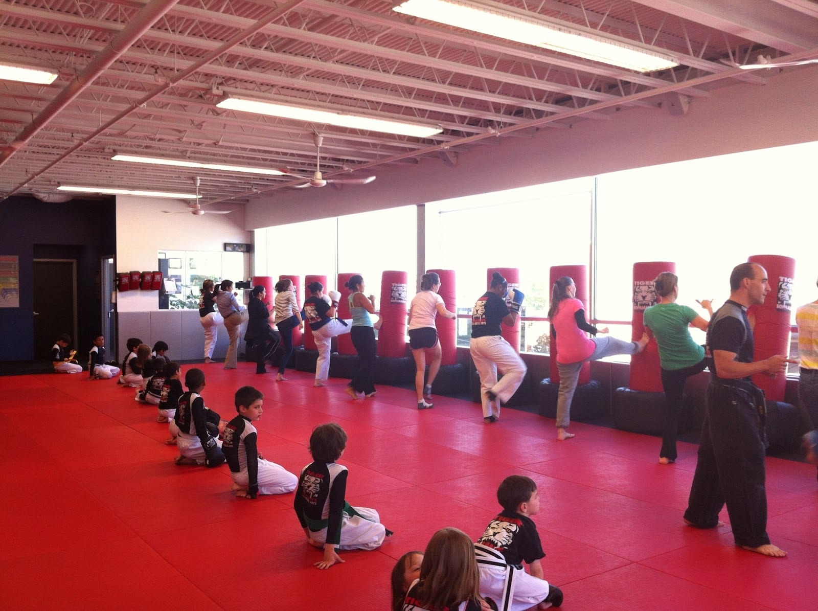 Tiger Schulmann's Martial Arts (Paramus, NJ)