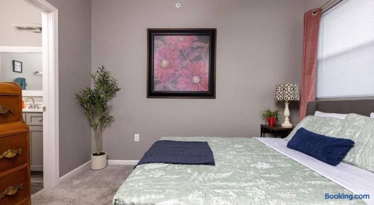 Central Little Rock:Pet Friendly|Near Park |Museum