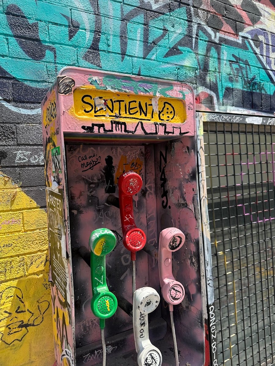 Outdoor Escape Room - Escape Box (Reserve Online)