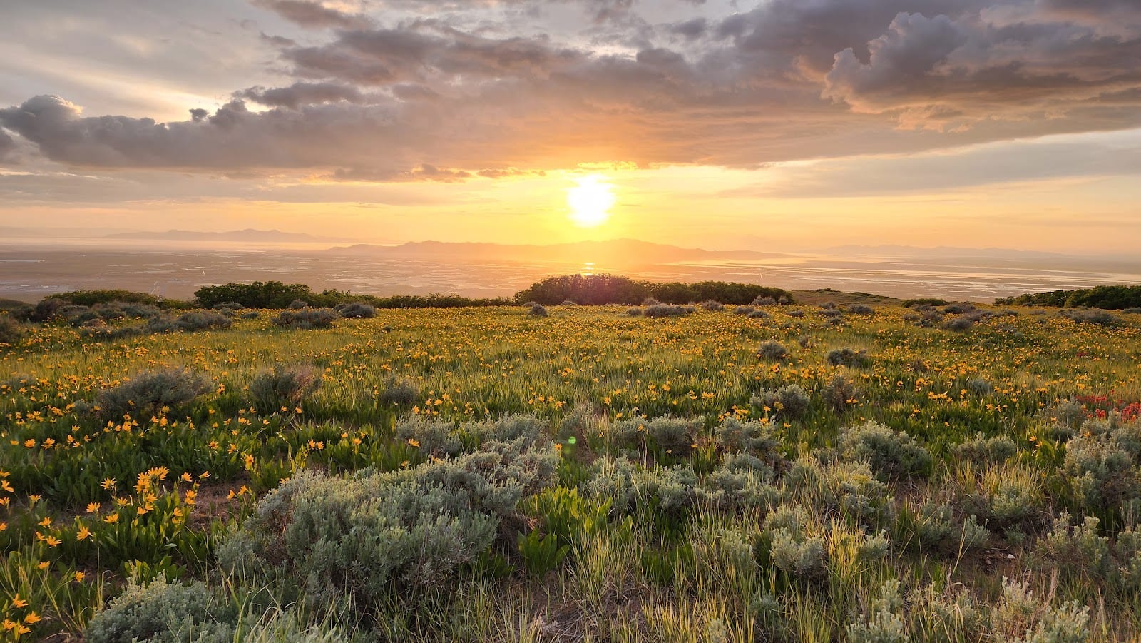 Bonneville Shoreline Preserve, photo 3