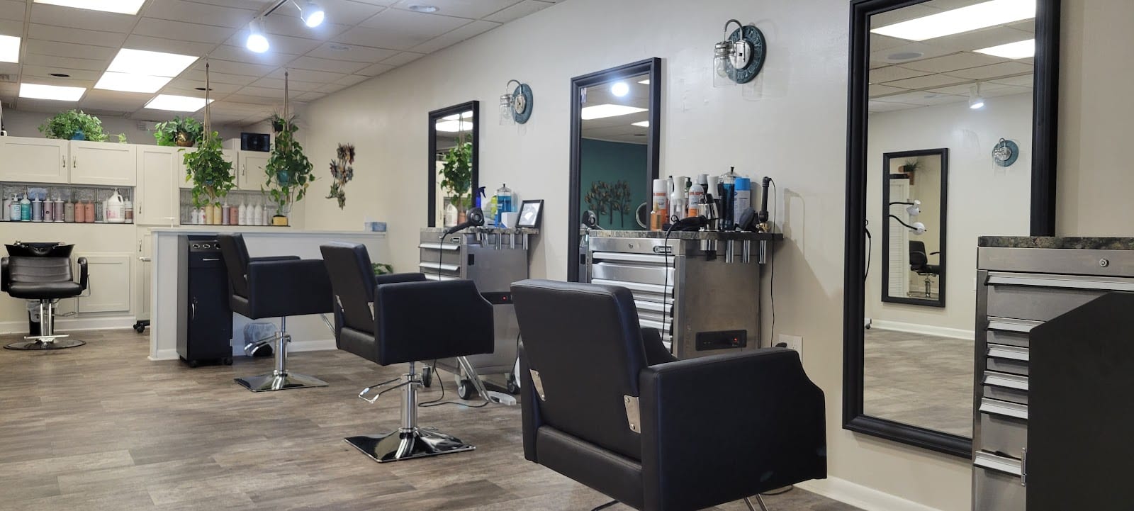 Viva Salon, photo 2