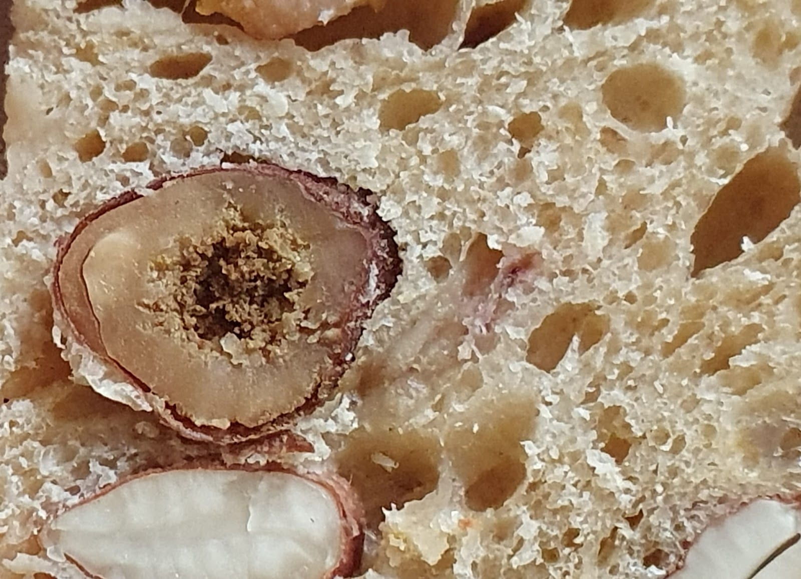 Pane Vivo - Bac, photo 4