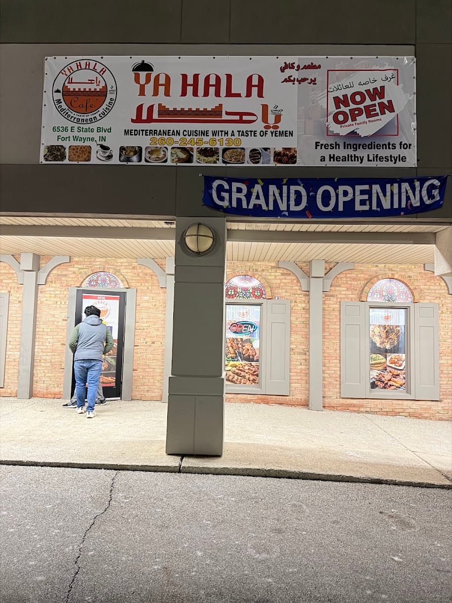 Ya hala Mediterranean Café, photo 2