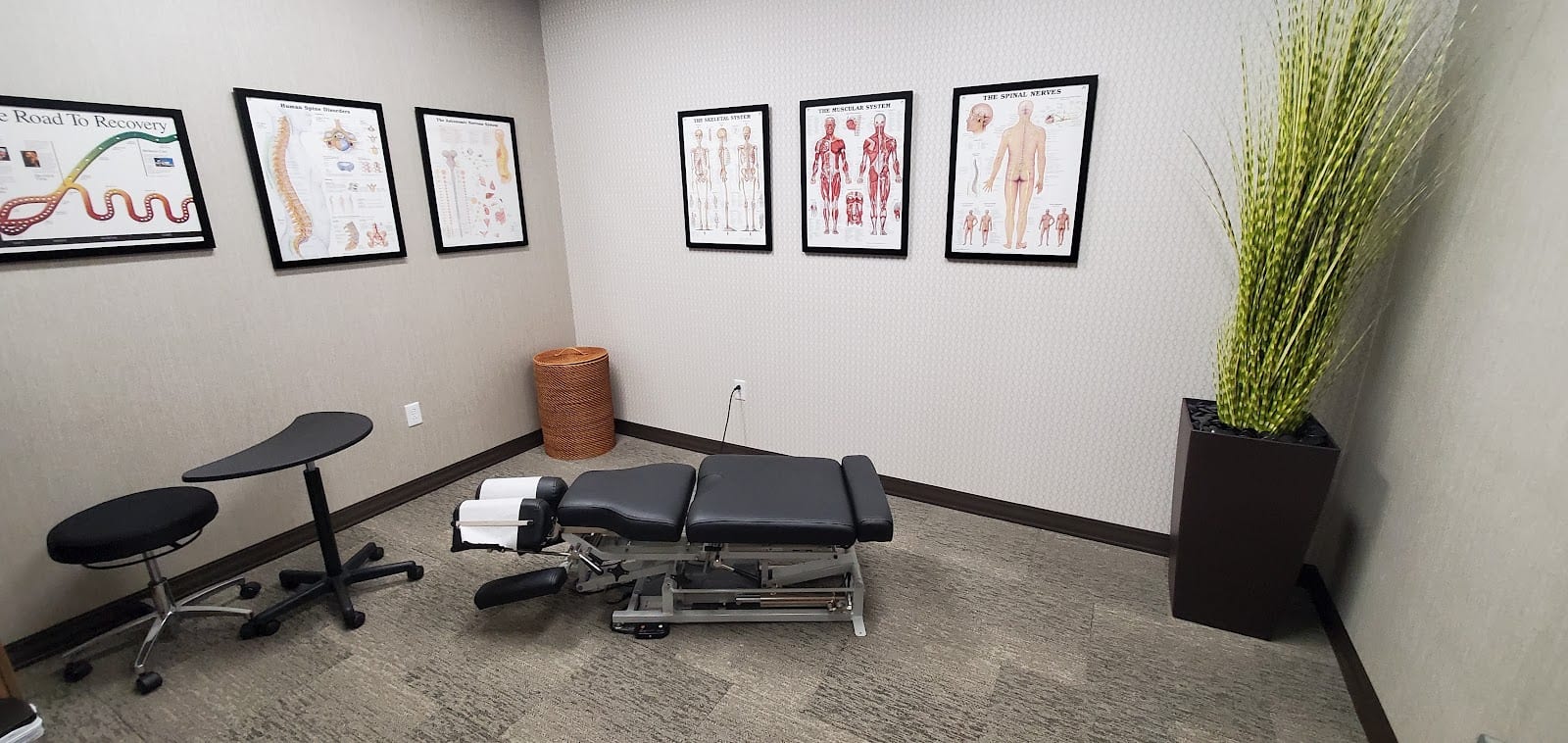 ChiroSport