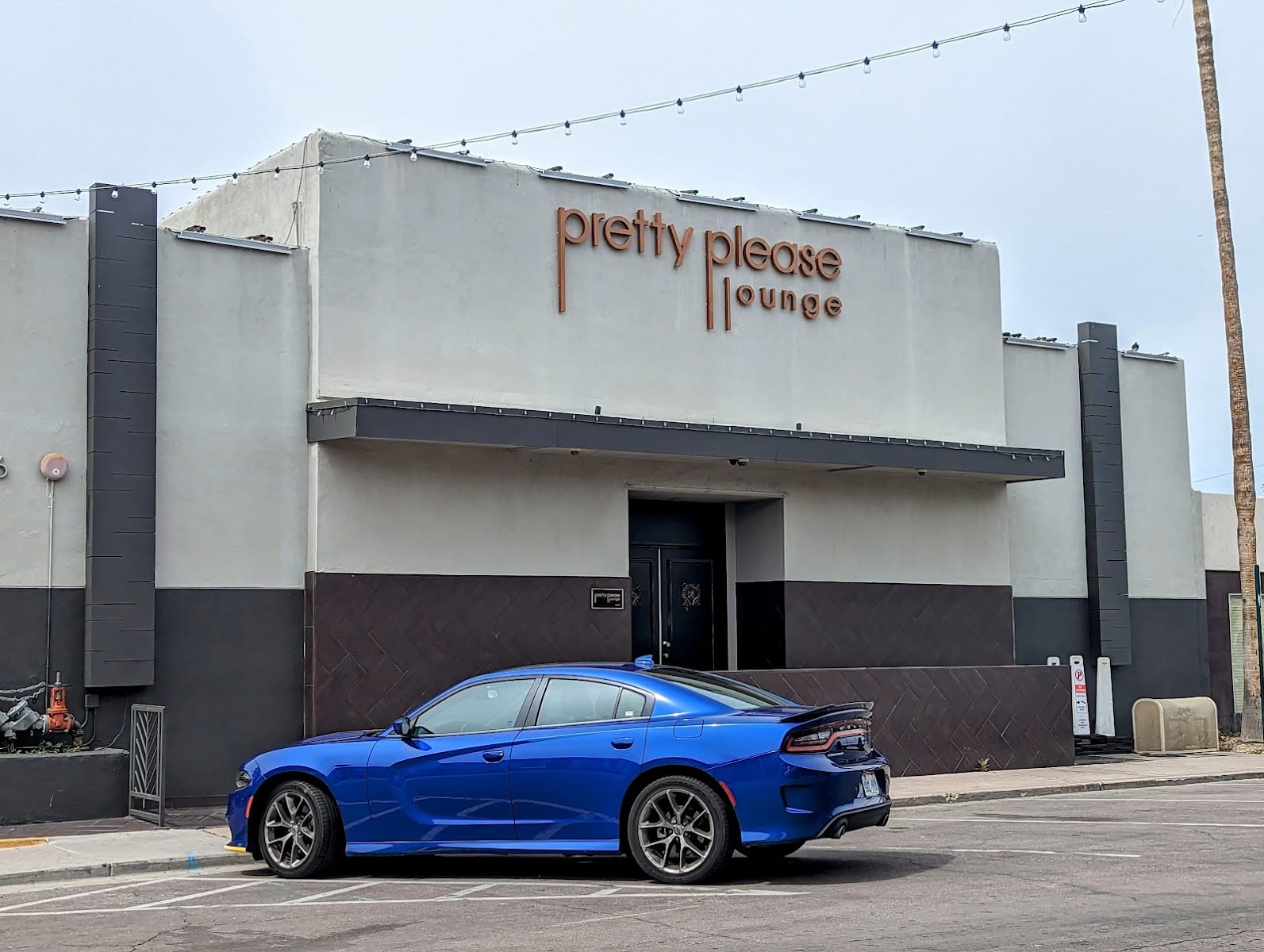 Pretty Please Lounge