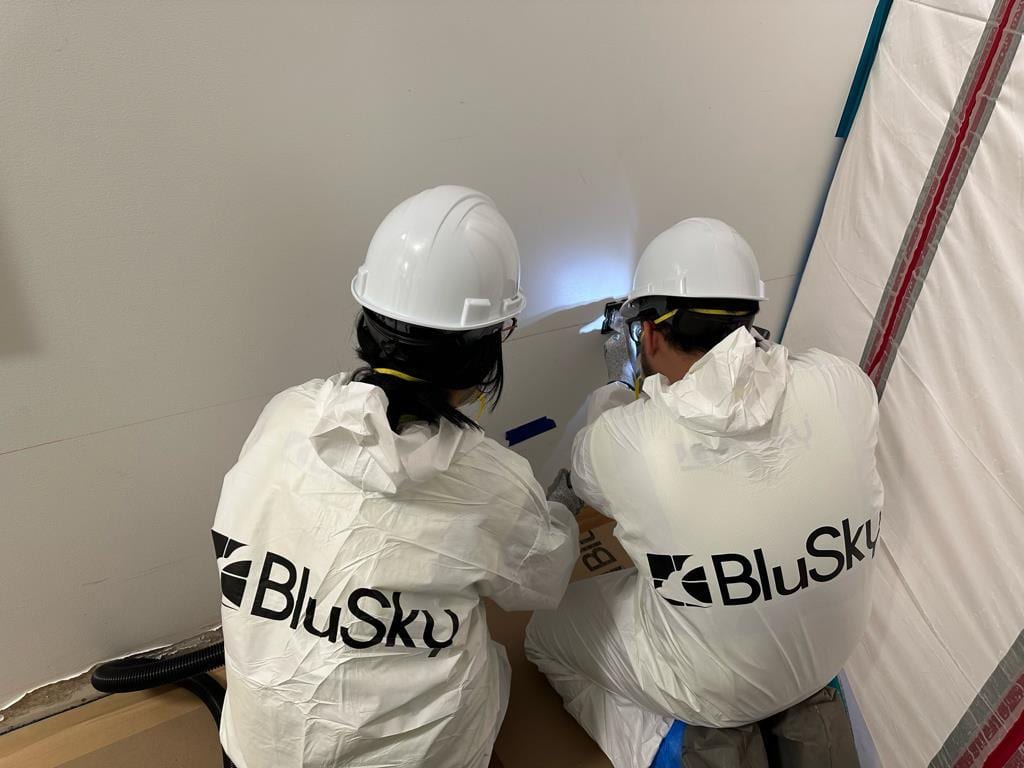 BluSky Restoration Contractors, photo 2