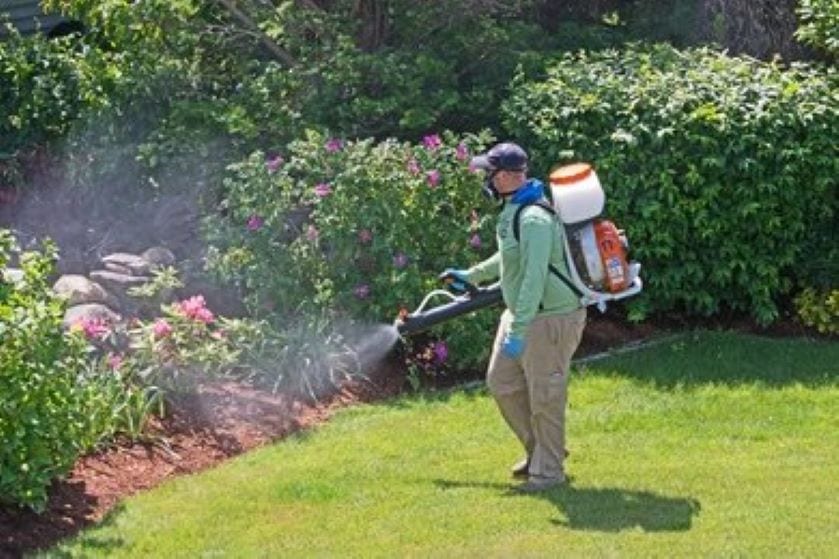B&E Pest control services of sarasota FL, photo 3