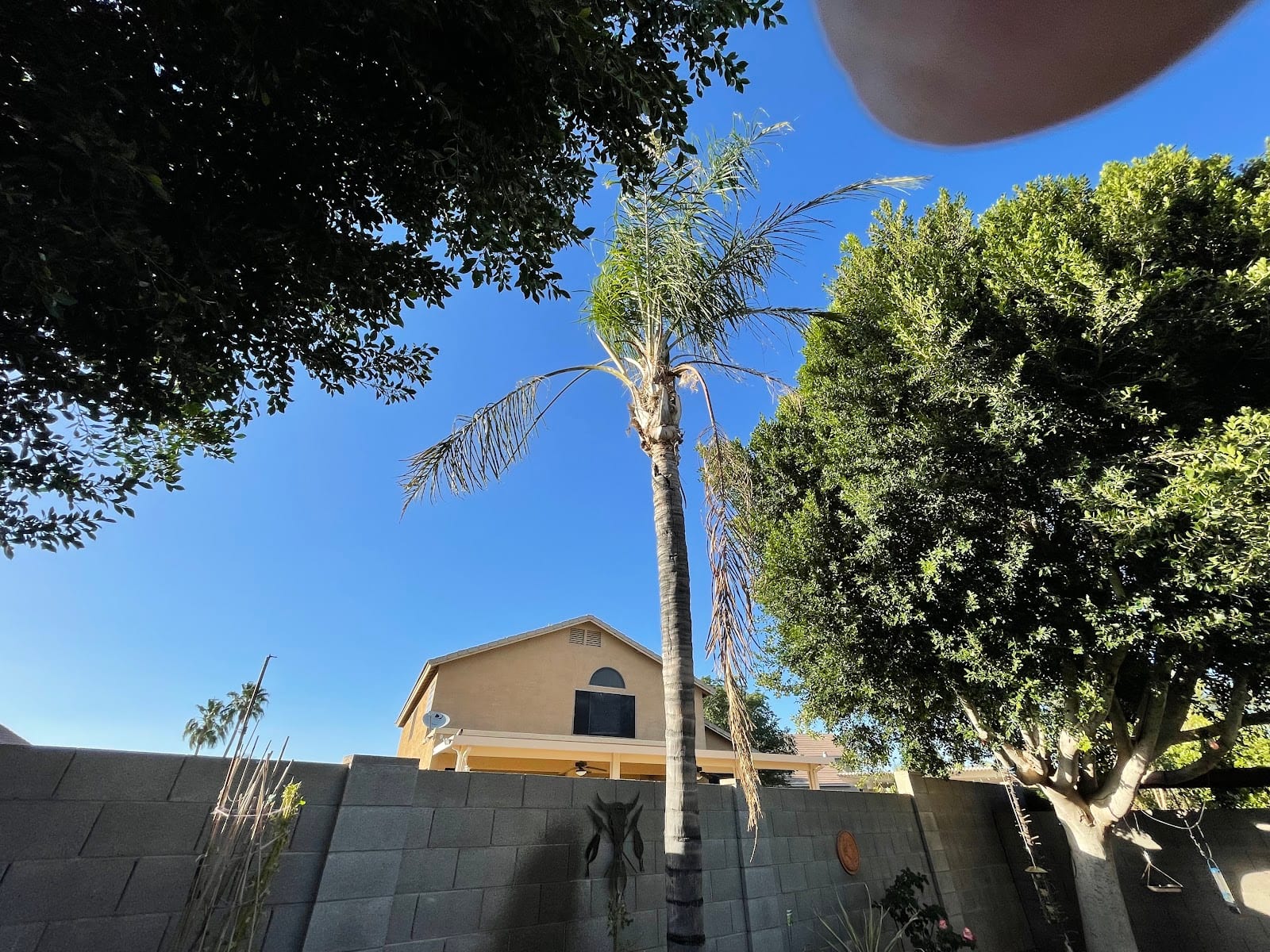 Property Management Real Estate Services, photo 4