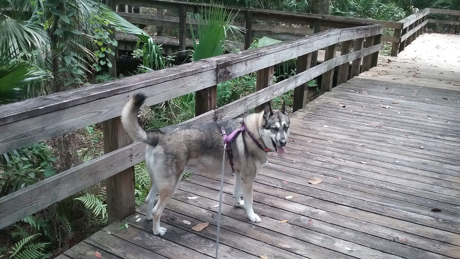 Lannie Rowe Park, photo 2