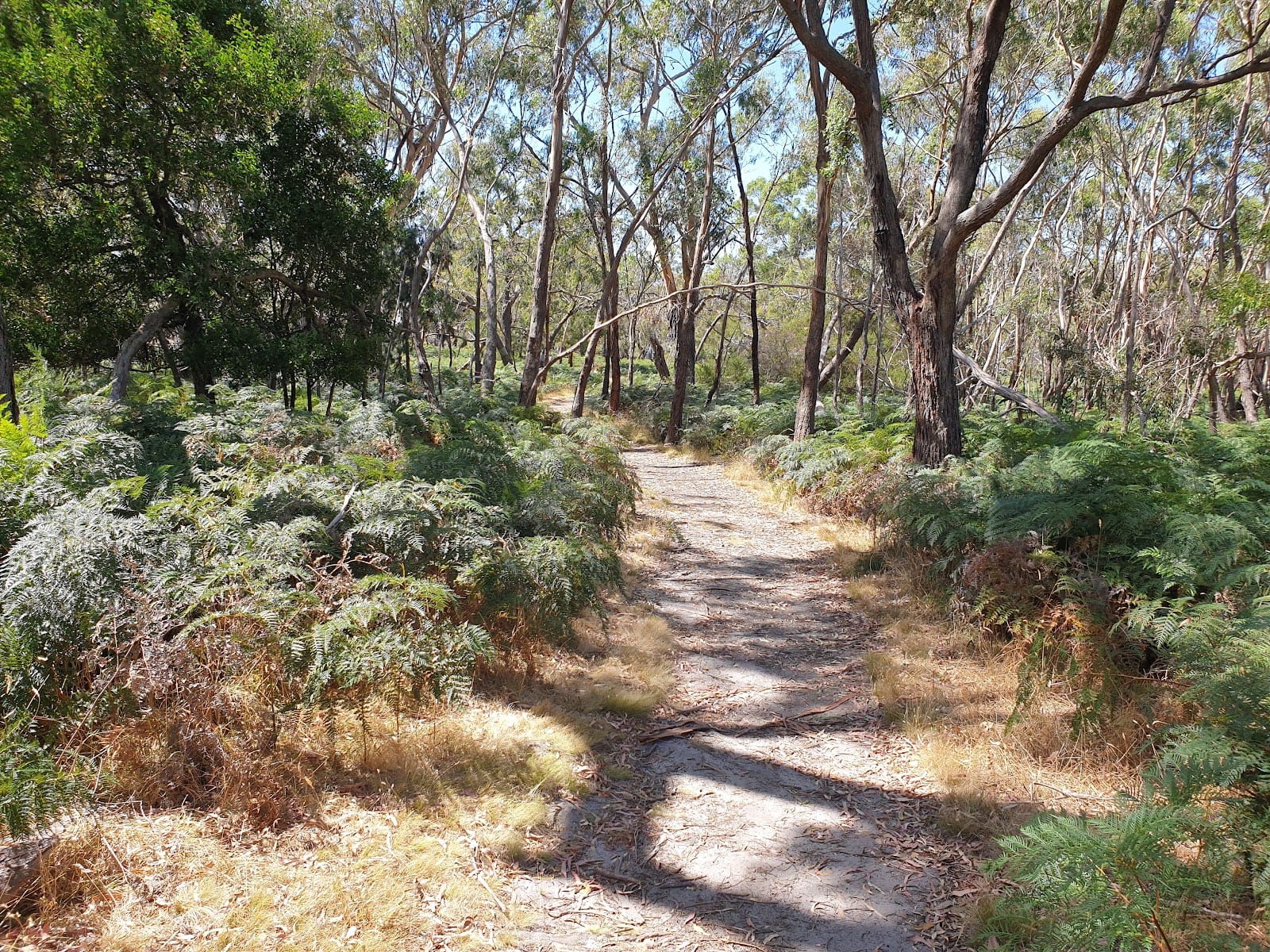 The Briars Wildlife Sanctuary