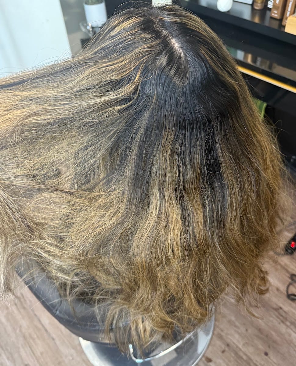 Brushed Roots, photo 4