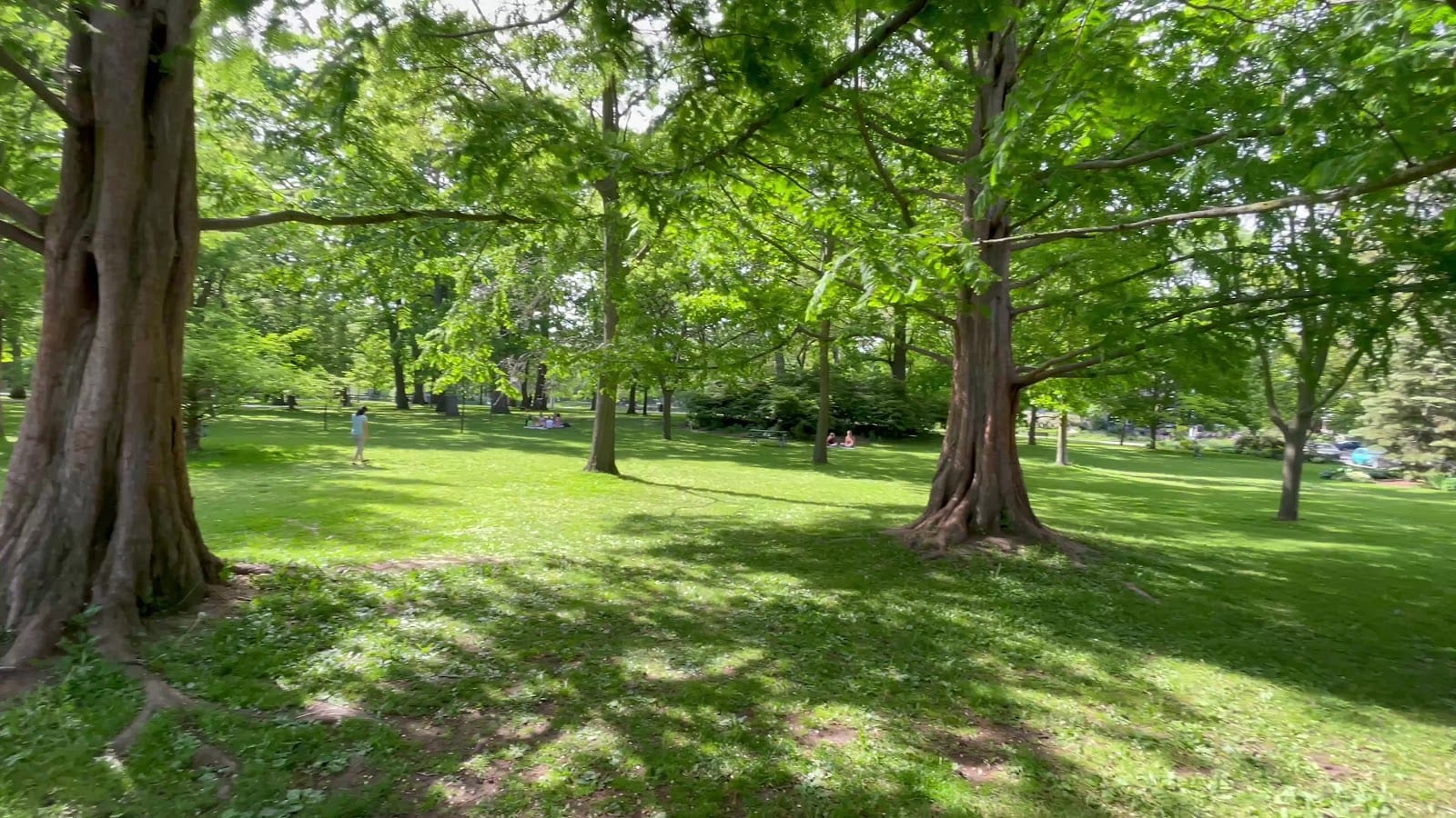 Beaches Park, photo 2