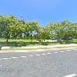 Mansfield Drive Park