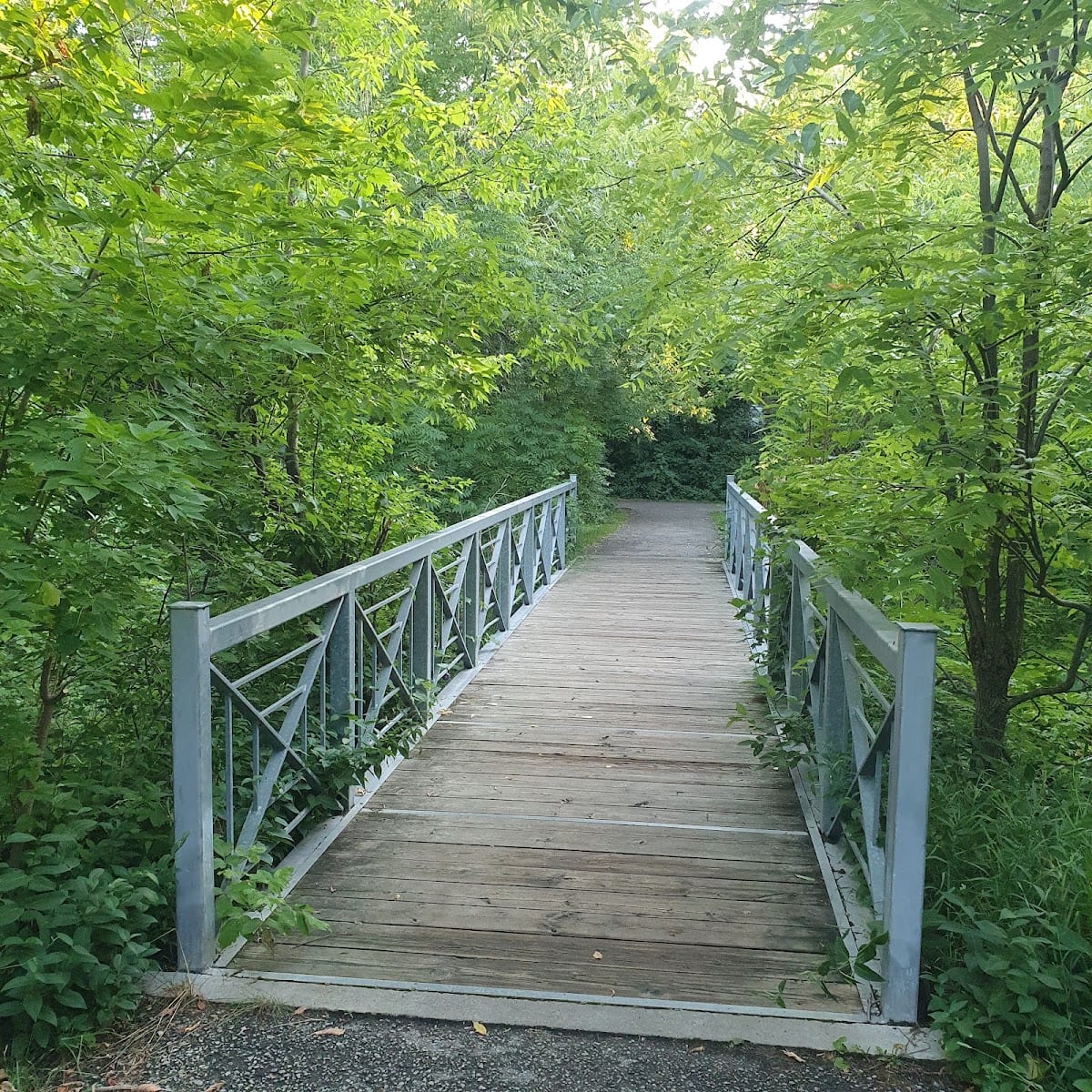 Maplewood Park