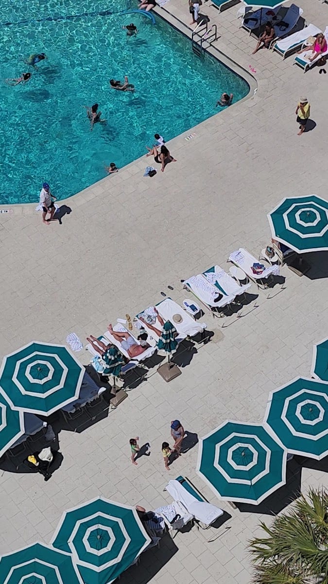 Lagoon Lawn at Longboat Key, photo 2