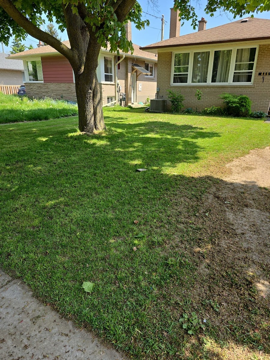 Backyard Buddies Landscaping, photo 3