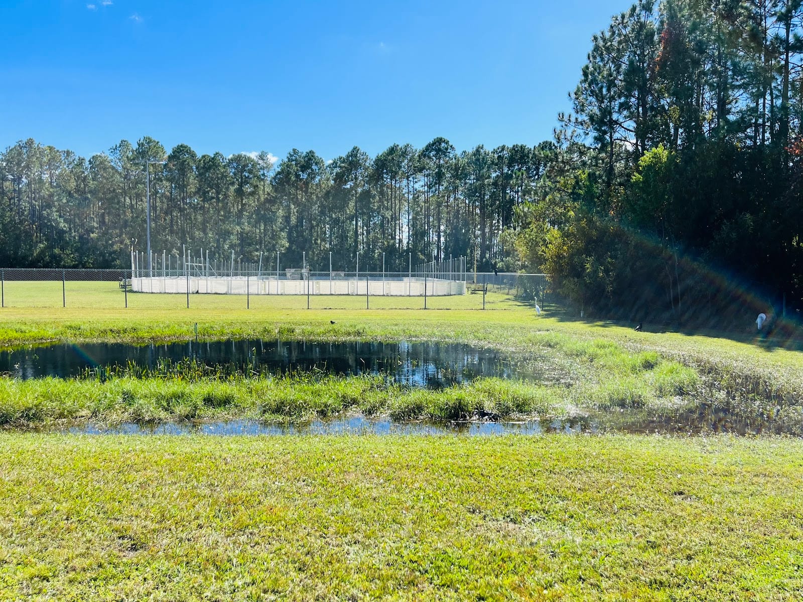 Fleming Island Lacrosse Club