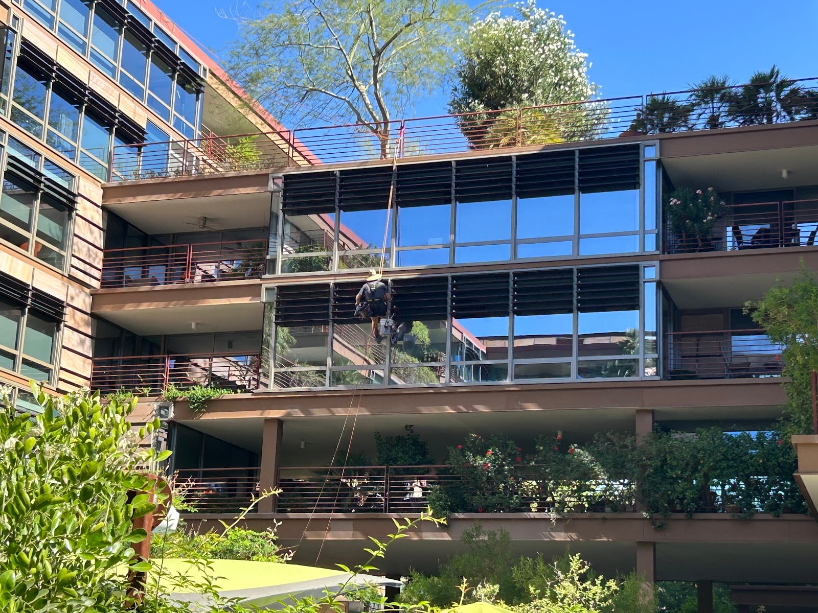 Professional Window Cleaning, photo 4