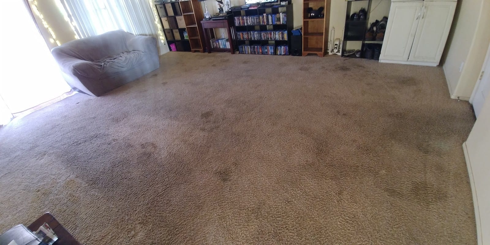 Doctor Carpet, photo 3