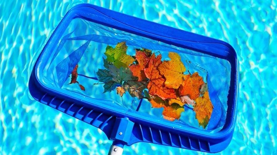 Swim Pools Inc, photo 2
