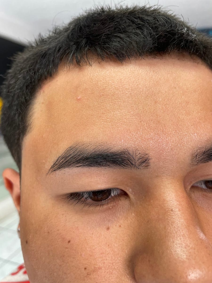 Freshly Faded