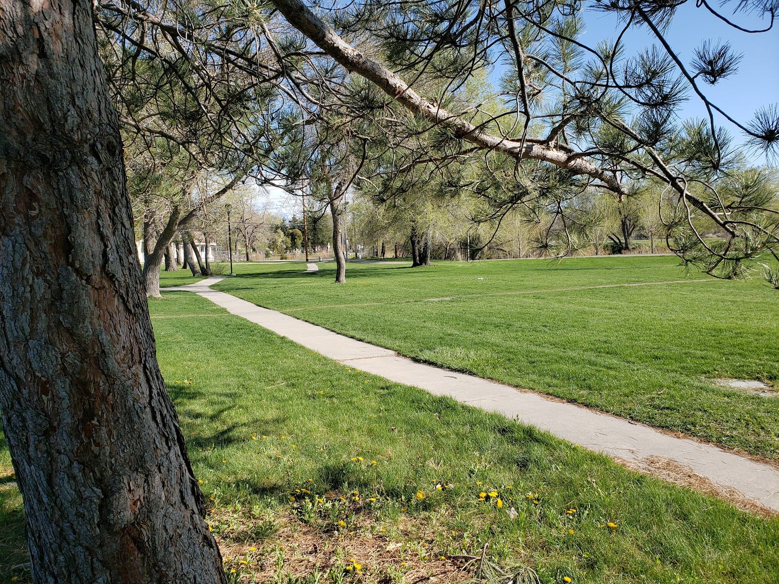 9th South River Park