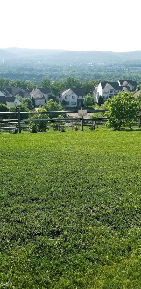 Woodfield Community, photo 3