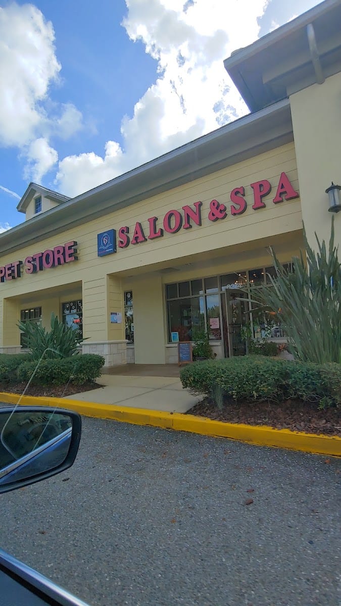 Elizabeth Viktoria Salon & Spa, photo 3