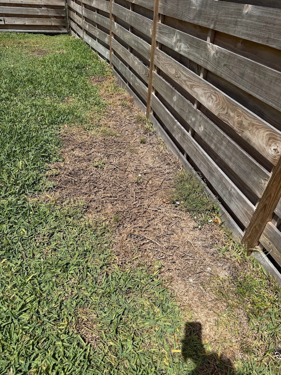 Problem Solved Pest Control, photo 3