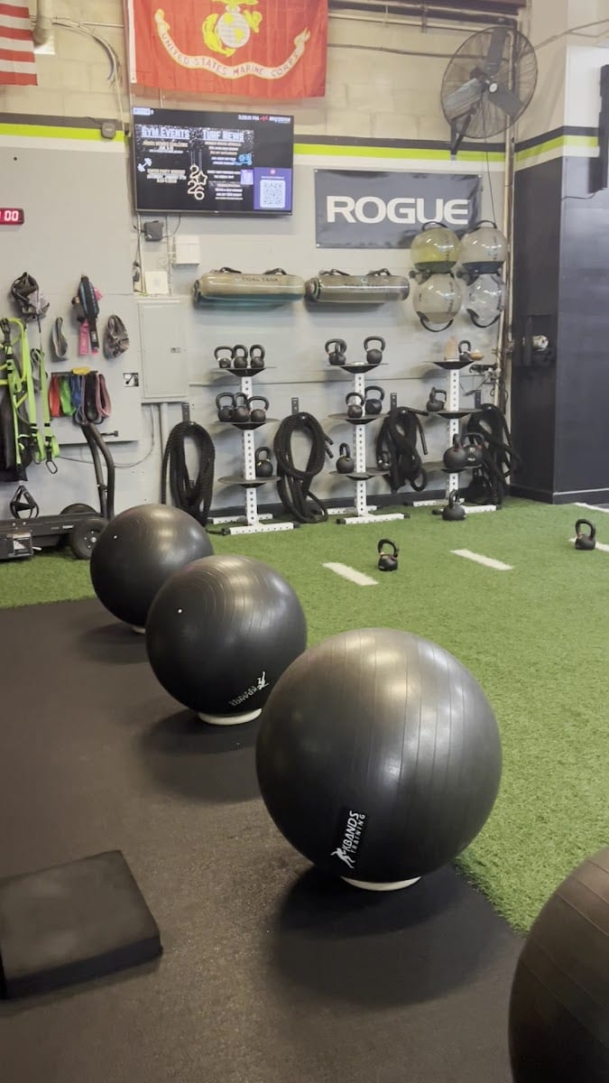 Training Evolved, photo 3
