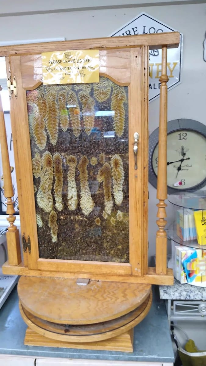 Cox Honeyland and Gifts, photo 2