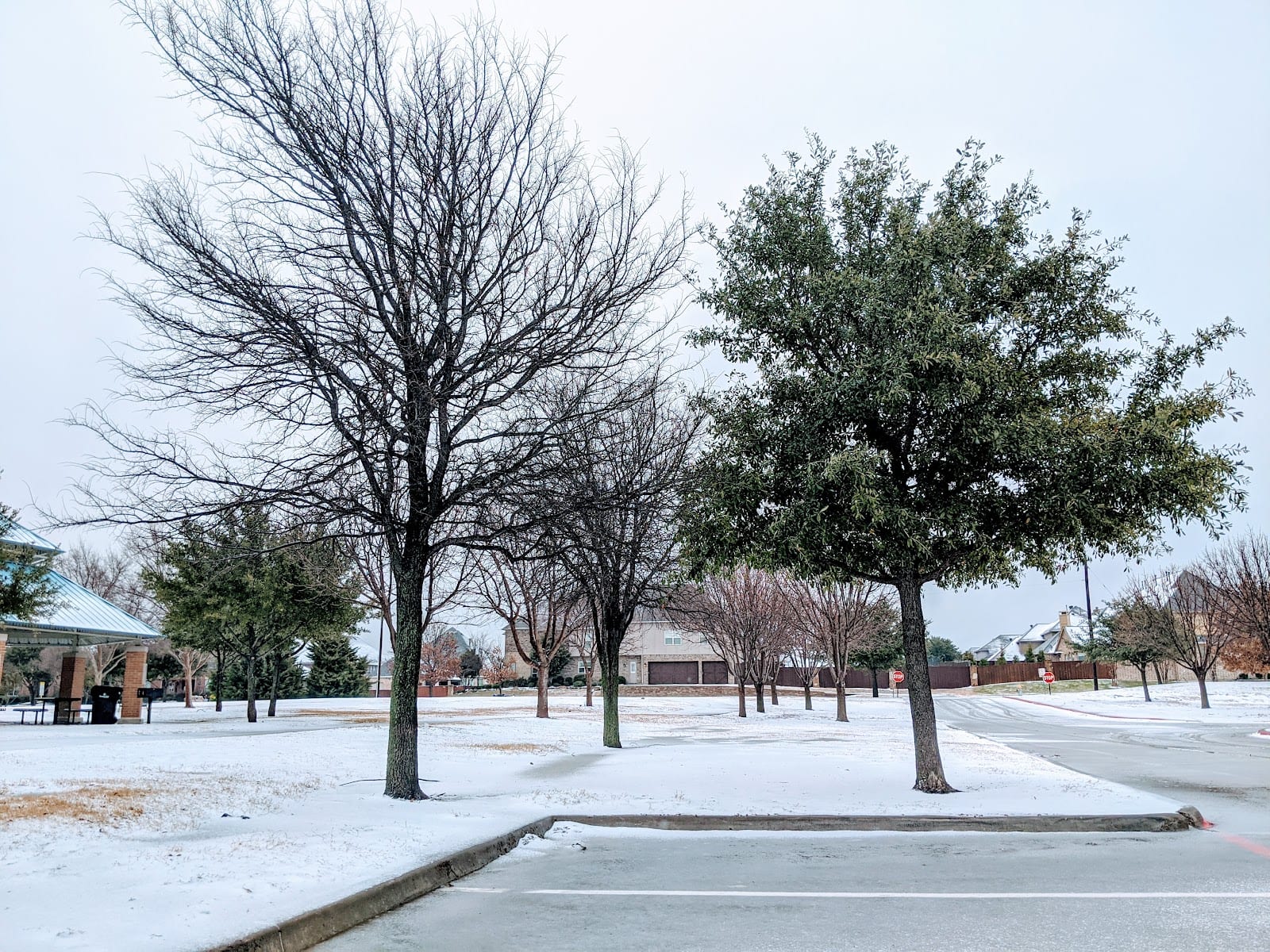 Crescent Park