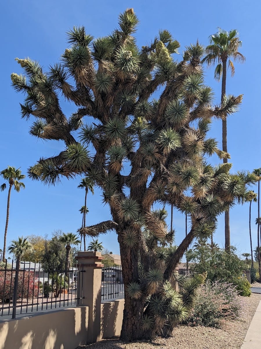 Oasis Park Co, photo 2