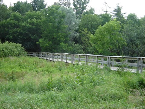 Little Don Park, photo 3