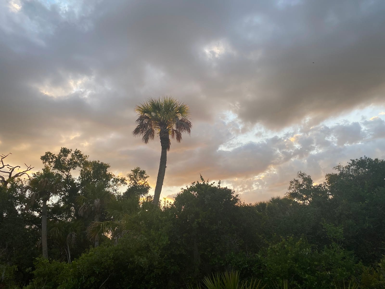 myakkahatchee creek greenway nature tralhead
