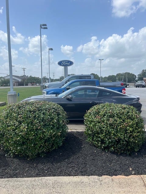McCoy Ford, photo 4
