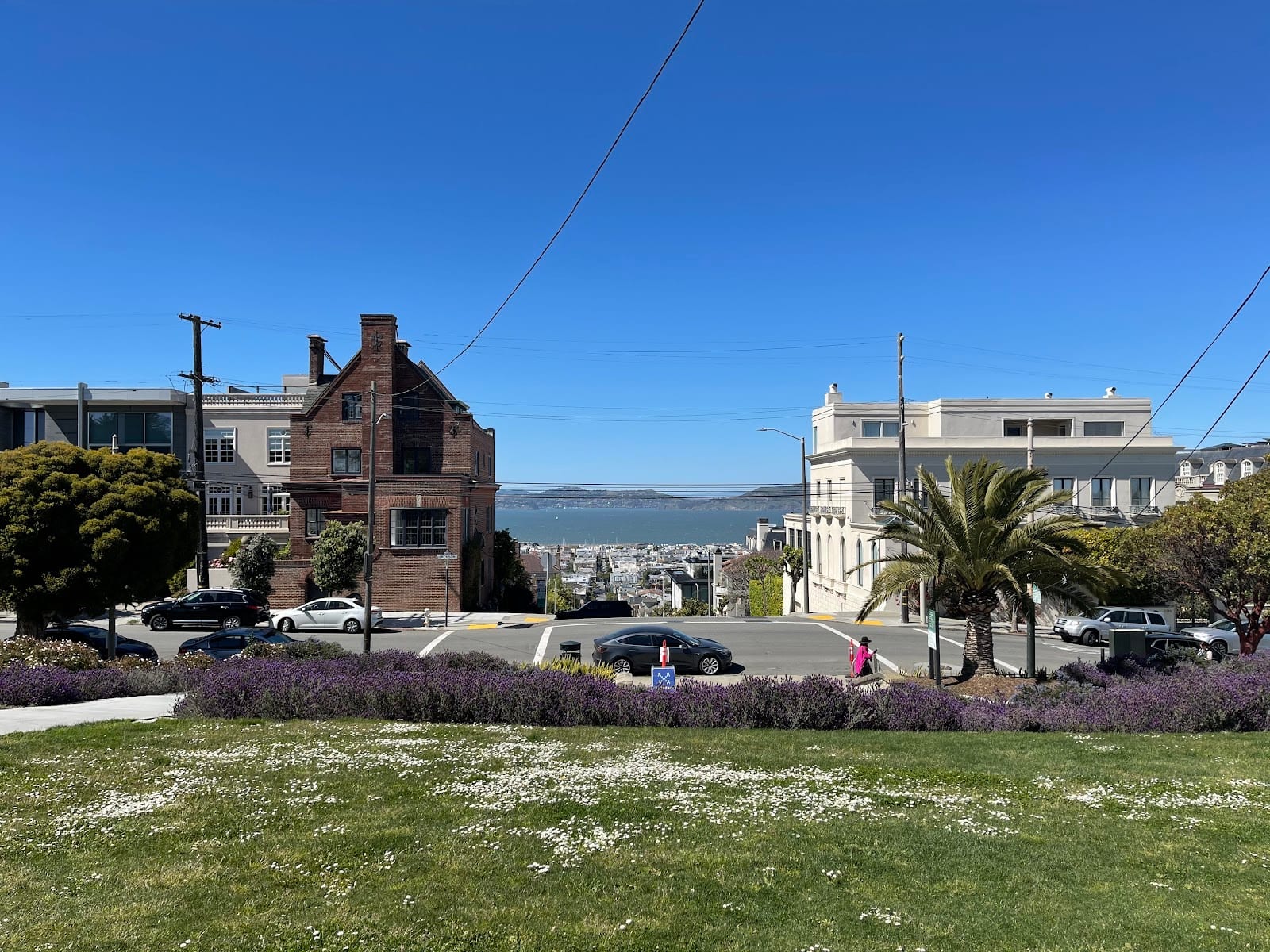 Alta Plaza Park, photo 3