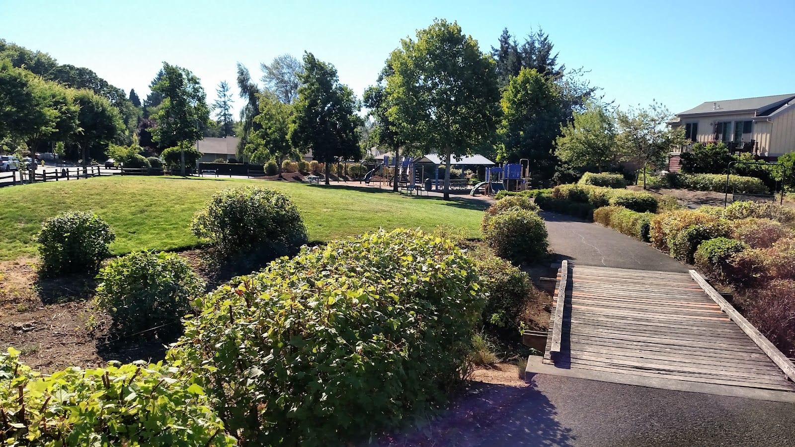 Ball-Michel Park
