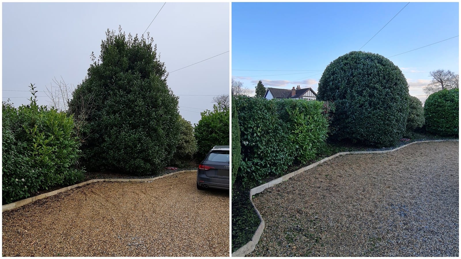 A.G Grounds Maintenance Ltd, photo 3