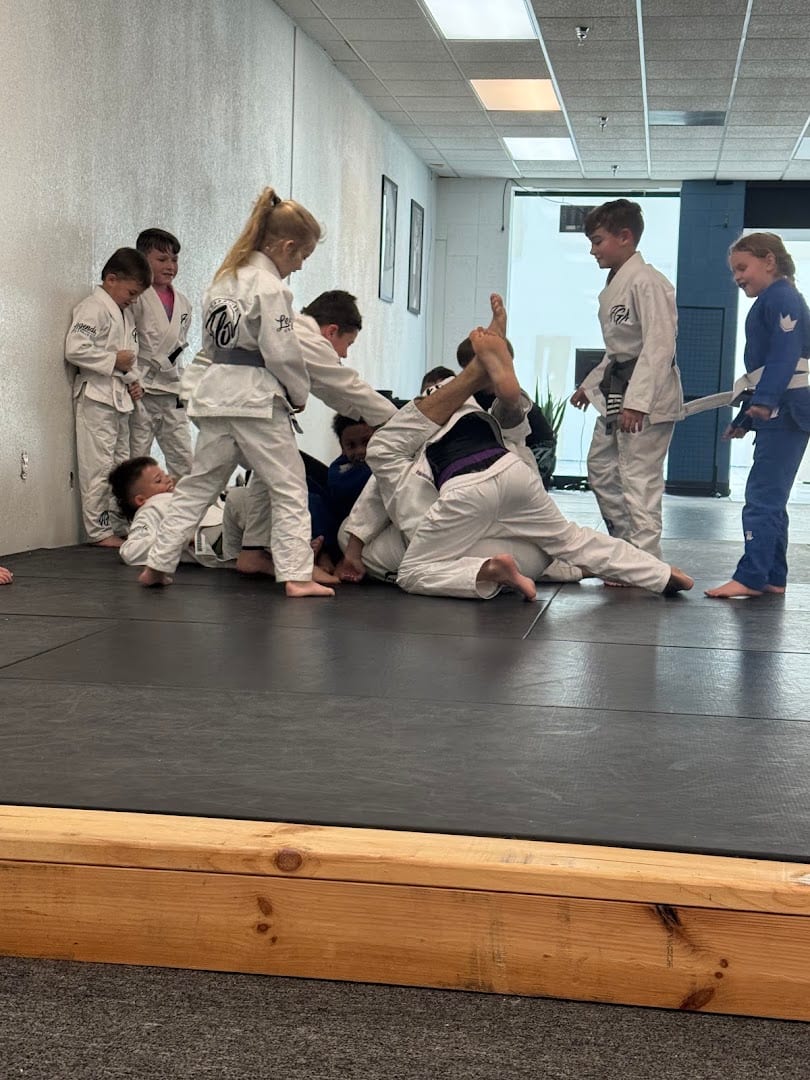Flow Grappling Academy, photo 2