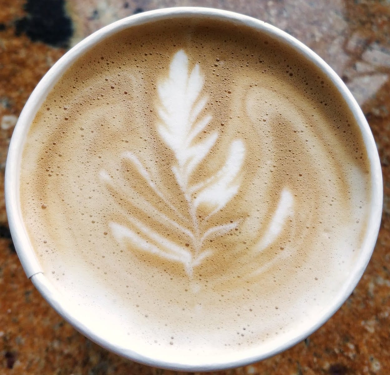 Two Creek Coffee House, photo 3