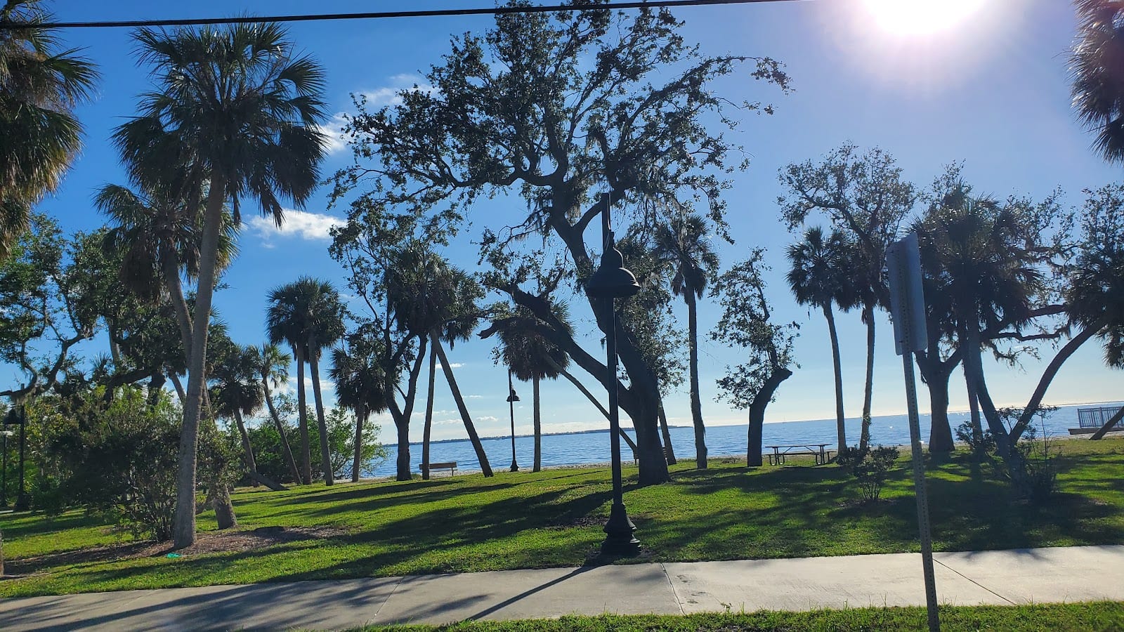 Bayshore Live Oak Park
