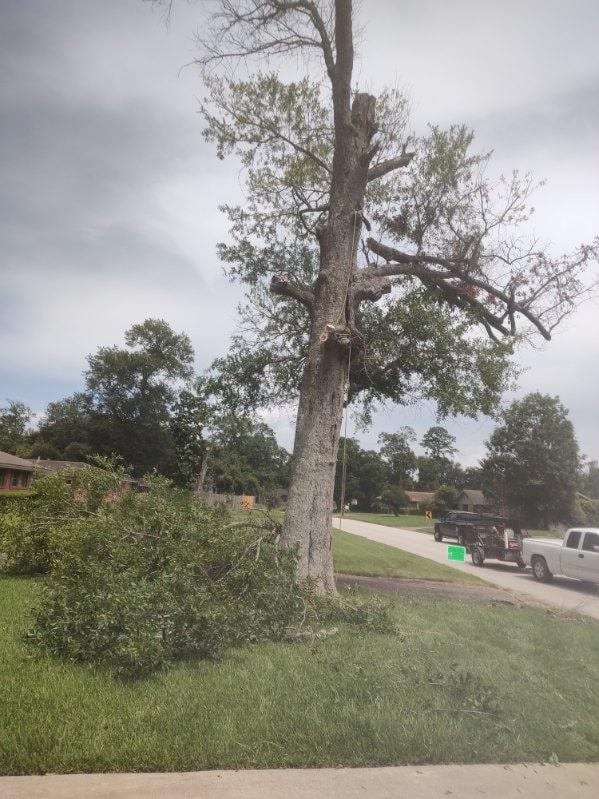 The Compadres Landscaping LLC, photo 4