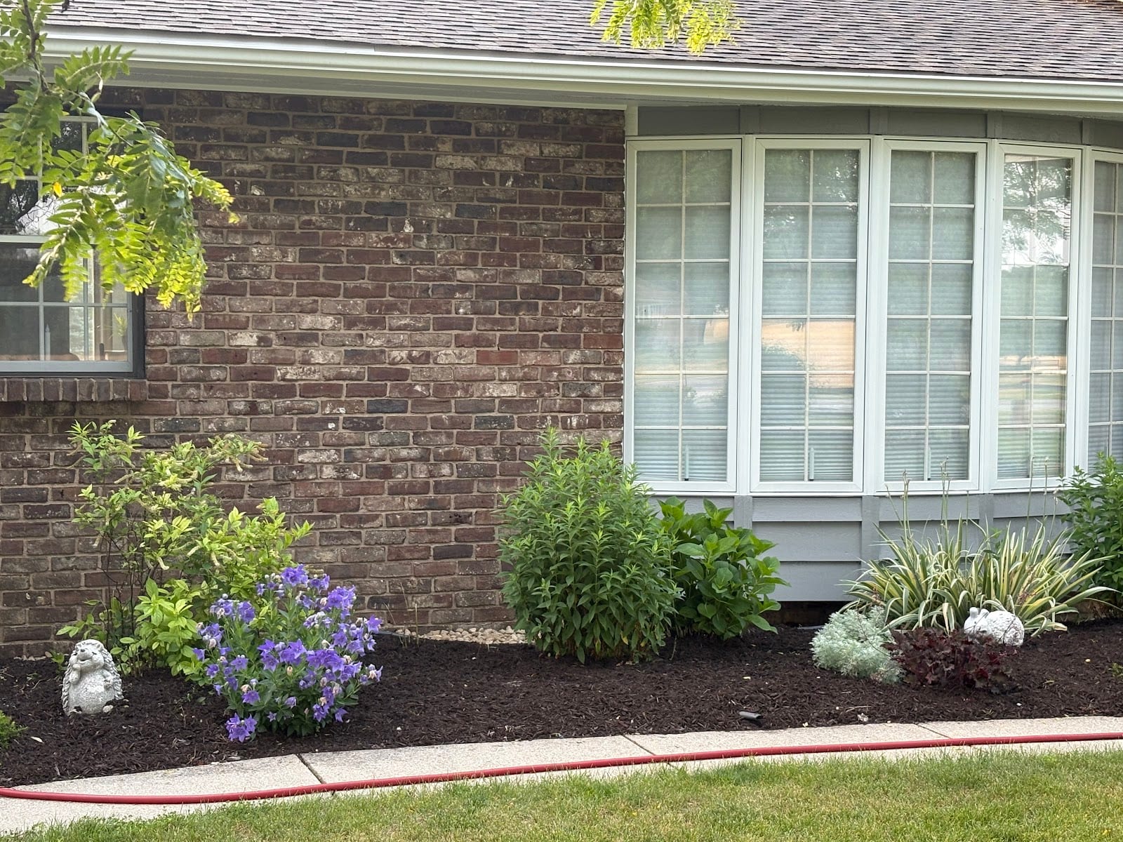 Sunflower Lawn and Landscaping, photo 4
