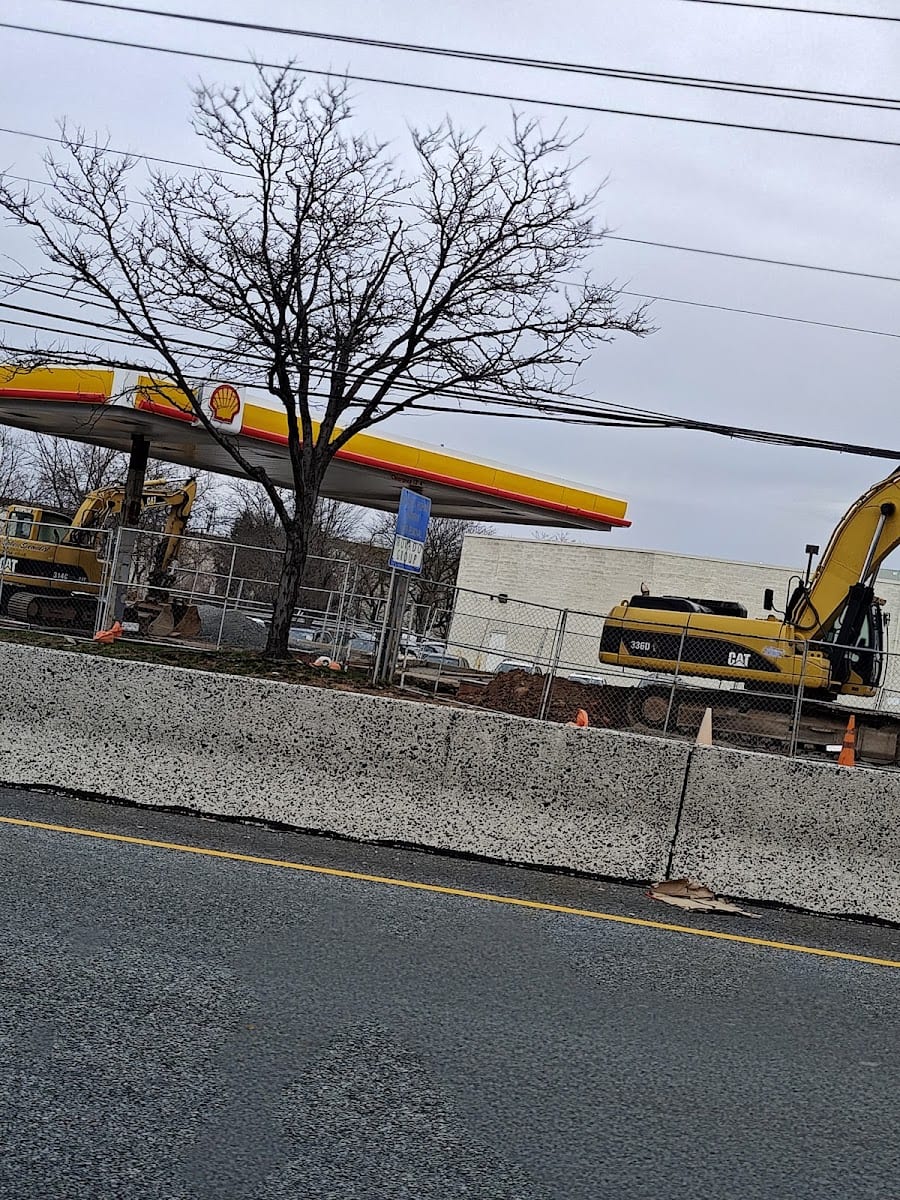 Shell, photo 4
